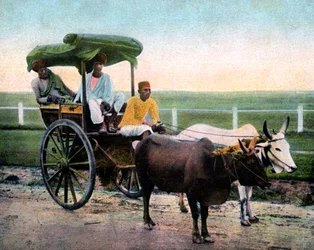 Eine Bombay-Rickshaw, Indien, frühes 20. Jahrhundert