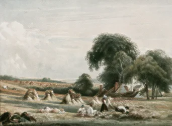 Eine Ernteszene, ca. 1900