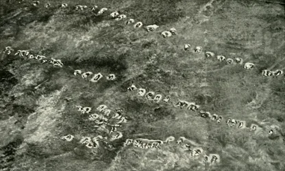 Ein Infanterieangriff über Niemandsland, 1919