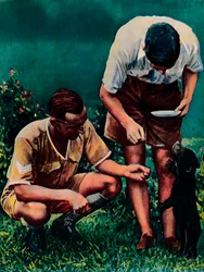 Ein Maskottchen der RAF in Singapur, 1940
