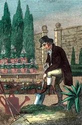 Ein Gärtner gräbt mit einem Spaten, 1821