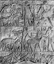Eine Jagdszene aus dem Grab des Ptahhotep, nahe Saqqara, Ägypten, um 2650 v. Chr., 1936