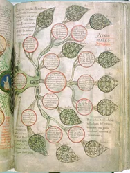 Eine Seite aus Liber Floridus, 12. Jahrhundert