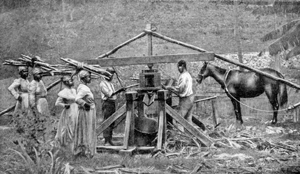 Ein holzgetriebenes Zuckerrohrmühle, Westindien, 1922