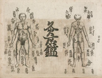 Akupunkturkarte des menschlichen Körpers, die die Punkte der Moxibustion anzeigt (Moxabustionsdiagramm, das zeigt, wo das Sengen vermieden werden sollte)