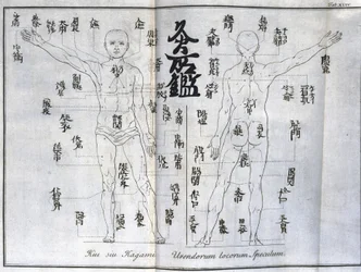 Akupunktur: Karte des menschlichen Körpers mit den Punkten für die Moxibustion, Japan (Moxa-Diagramm, um 1690)