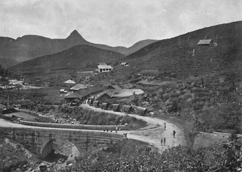 Adamspik und Brownlow-Teepflanzung, 1926