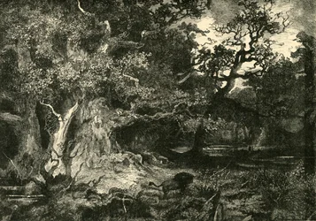 Ein deutscher Wald, 1890