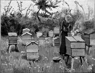 Bienenhaus aus Holz, Lismore, Irland, 1890