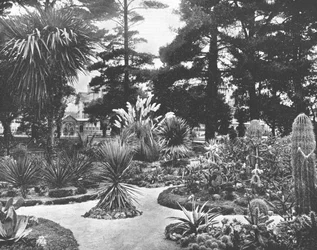 Arizona-Garten, Monterey, Kalifornien, USA