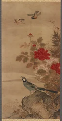 Vögel und Blumen, Edo-Periode, 18. Jahrhundert
