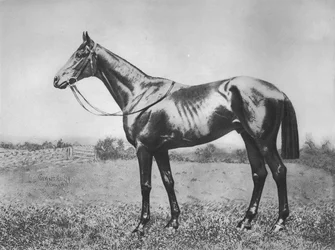 Schwarzer Pfeil, 1911