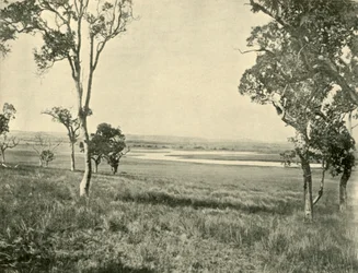 Black Swan Lagoon, nahe Warwick, Queensland, 1901