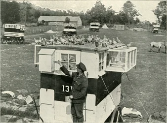 Träger-Tauben der britischen Armee in Frankreich: Pferdegezogene Lofts, 1919