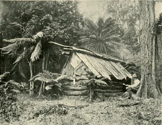 Buschhütte, Dandenong Ranges, Victoria, 1901
