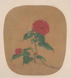 Kamelienblüten