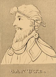 Knut