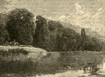 Cliefden Woods, 1898