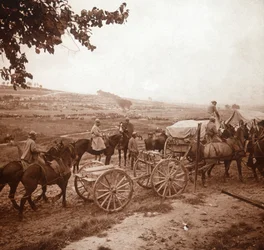 Konvoi, Genicourt, Nordfrankreich, 1916