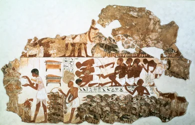 Gänse zählen: Fragment eines Wandgemäldes aus dem Grab von Nebamun, Theben, Ägypten, um 1350 v. Chr.