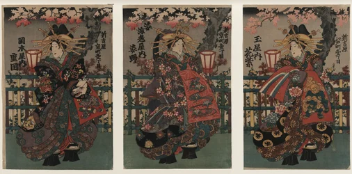 Kurtisanen Shigeoka, Sugatano und Hanamurasaki. Triptychon. Aus der Serie Die Schönheiten von Yoshiw