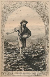 Crusoe sät Korn, um 1870