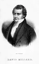 David Millard