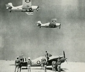 Wüstengeschwader - Flugzeuge der Fleet Air Arm während des Zweiten Weltkriegs, ca. 1943