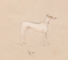Hund, 1800er Jahre
