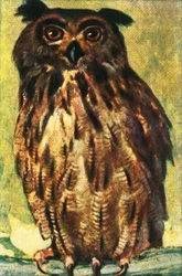 Uhu, ca. 1928