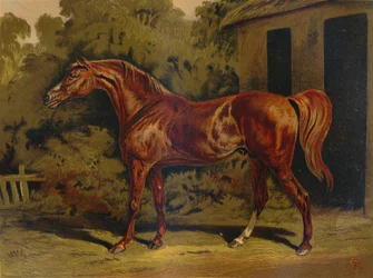 Eklipse, ca. 1879