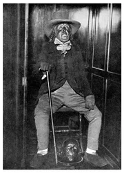 Bildnis von Jeremy Bentham mit seinem einbalsamierten Kopf, University College, London, 1956