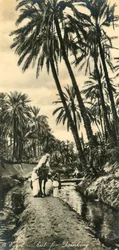 Ägypten - Rast zum Trinken