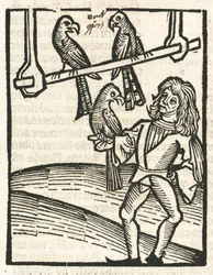 Falkner mit Habichten