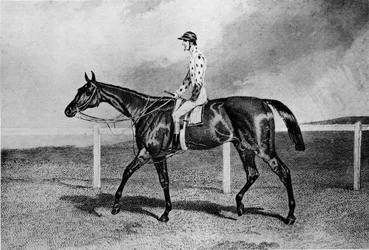 Fandango, 19. Jahrhundert, 1911