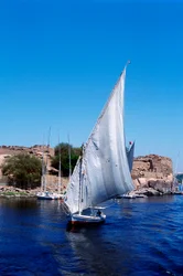 Feluccas auf dem Nil, Elephantine-Insel bei Assuan, modernes Ägypten
