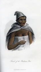 Frau der Buschmann-Rasse, 1848