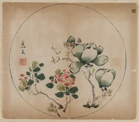 Blühende Magnolie und Pfirsichblüten