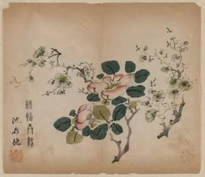 Blühender Prunus