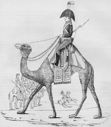Französisches Dromedarregiment. Gefangen mit einem Konvoi in der libyschen Wüste, Mai 1801, 1884