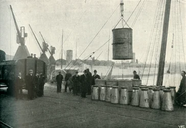 Französische Milch wird in Southampton angelandet, 1902