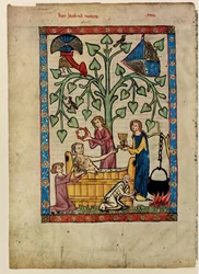 Aus dem Codex Manesse, zwischen 1305 und 1340
