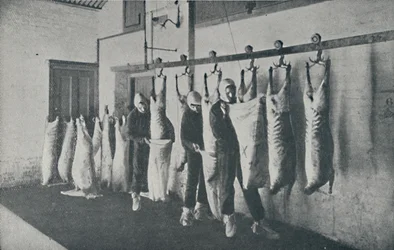 Gefrorenes Fleisch, 1910