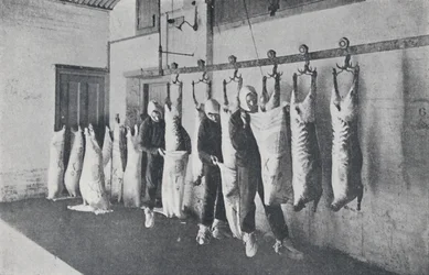 Gefrorenes Fleisch, 1923