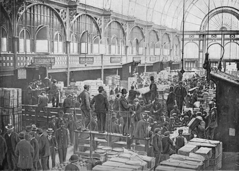 Obstauktionen am Covent Garden Market, London, um 1901
