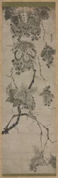 Trauben, 1700er