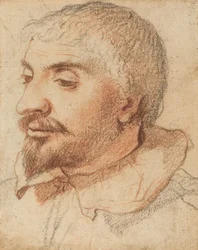 Kopf eines Mannes, ca. 1600