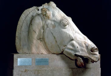 Kopf eines Pferdes vom Wagen der Selene aus dem Ostgiebel des Parthenon, 447-432 v. Chr.