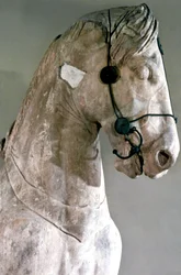 Pferd, Quadriga des Mausoleums von Halikarnassos, 350 v. Chr.