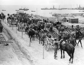 Pferdegezogene Transportmittel, alliierte Operationen in den Dardanellen, Türkei, 1915-1916